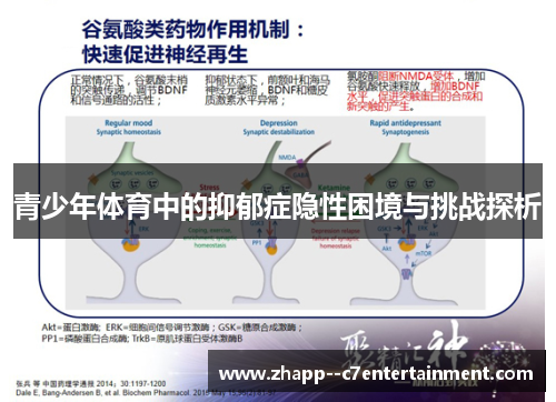 青少年体育中的抑郁症隐性困境与挑战探析